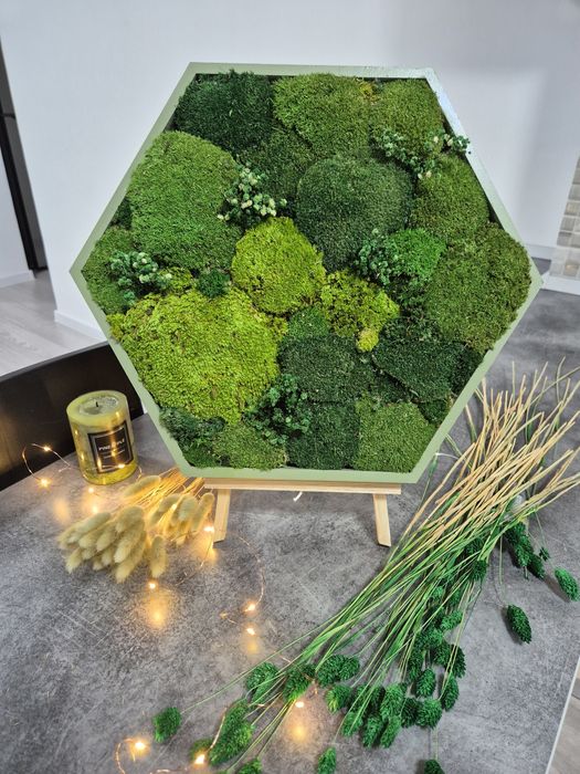 Tablouri hexagonale  muschi si licheni