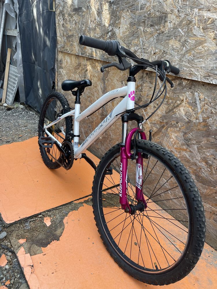 Bicicleta muddyfox roti 24”