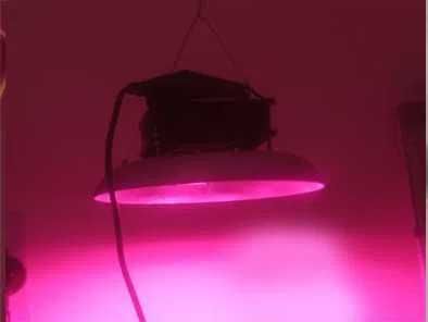 ФИТО-ОСВЕЩЕНИЕ фито-лампы (фито-лампочки) и подвесные фито-светильники