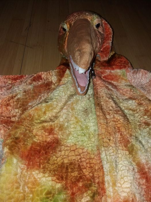 Costum Halloween Dinozaur Copii