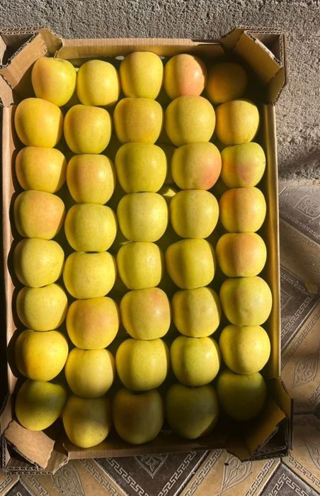 Яблоки алма бар 1 сорт 4.5 тг пишите на ватсап