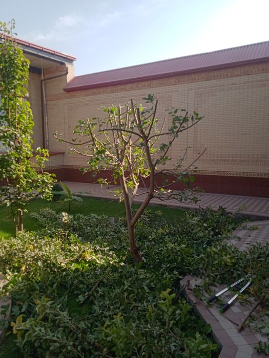 Sadovnik bogbon lanshaft xizmati