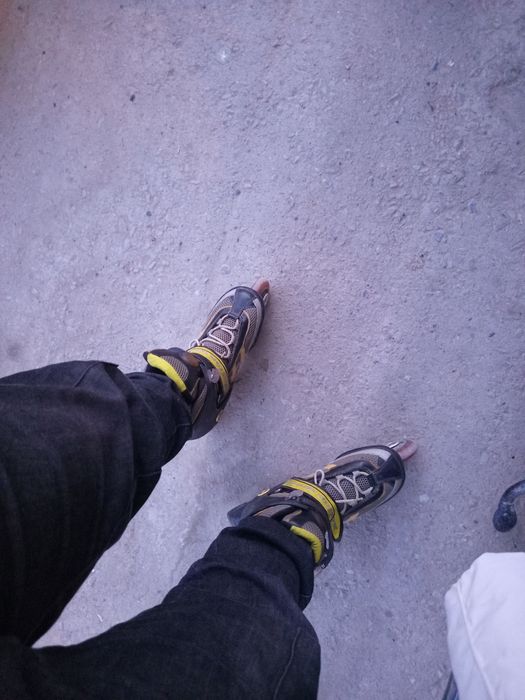 Rolik sotaman bushoro