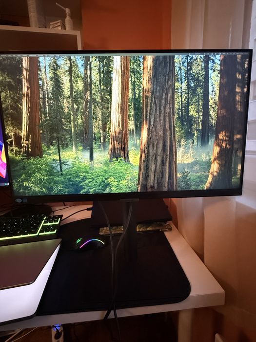 Монитор Samsung 24” QHD(2560x1440p) 75Hz