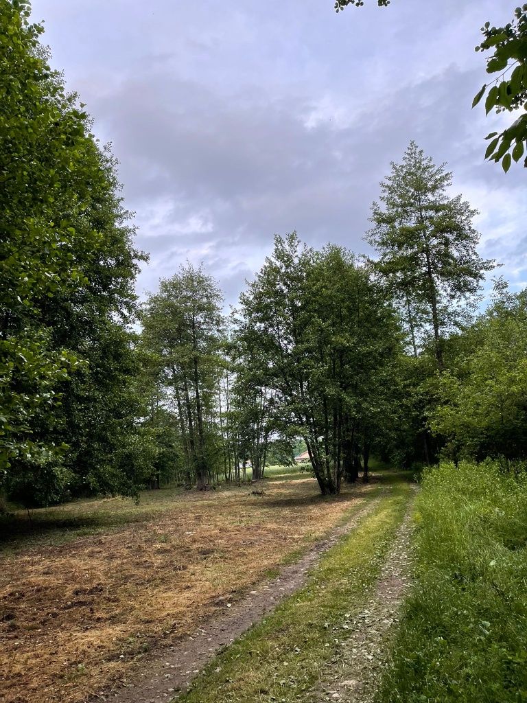 Teren intravilan Arcani Sanatesti Aprilia Park
