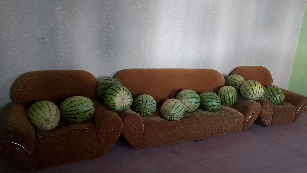 Қарбыз бар тәтті