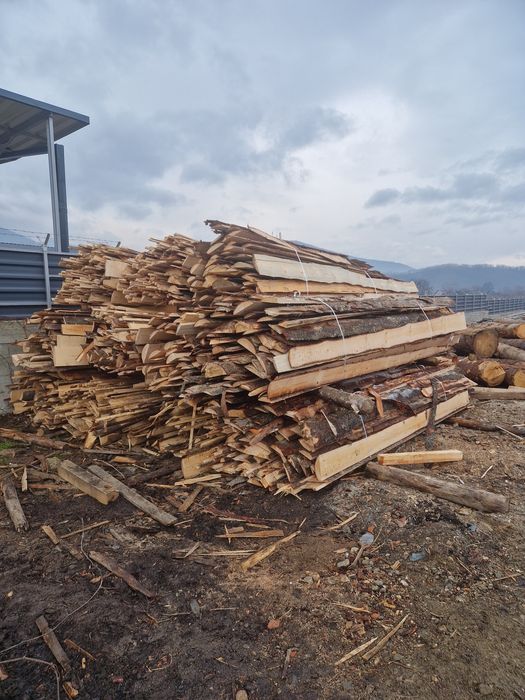 Lemn de foc brad sau fag!