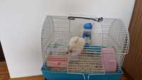 hamster pitic cu tot cu cușcă,mâncare și asternut