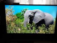 Vând televizor Telefunken Led Full HD 40 inch/ 101cm
