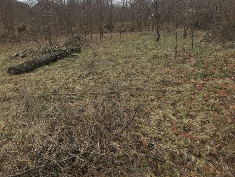 Teren intravilan localitatea Chiscau (Pestera Ursilor)jud Bihor