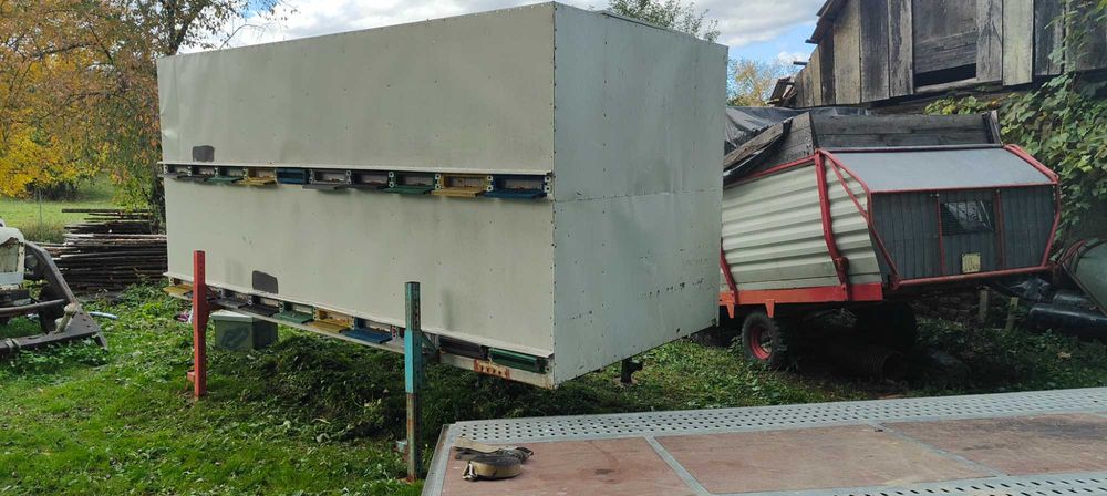 Container apicol