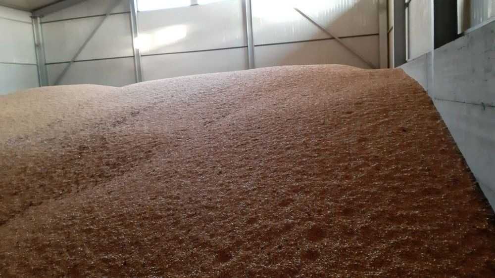 Porumb Grâu Orz Ovăz Tărâțe de Grâu Floare Mazăre Amestec de Cereale