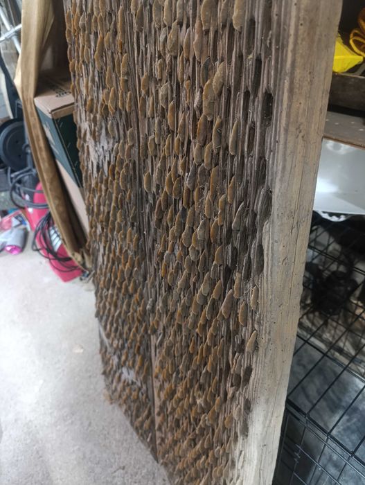 Диканя в отлично състояние