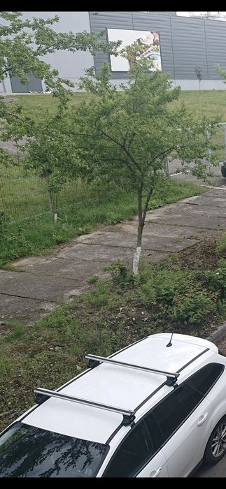 Bare thule evo Ford Focus Mk3