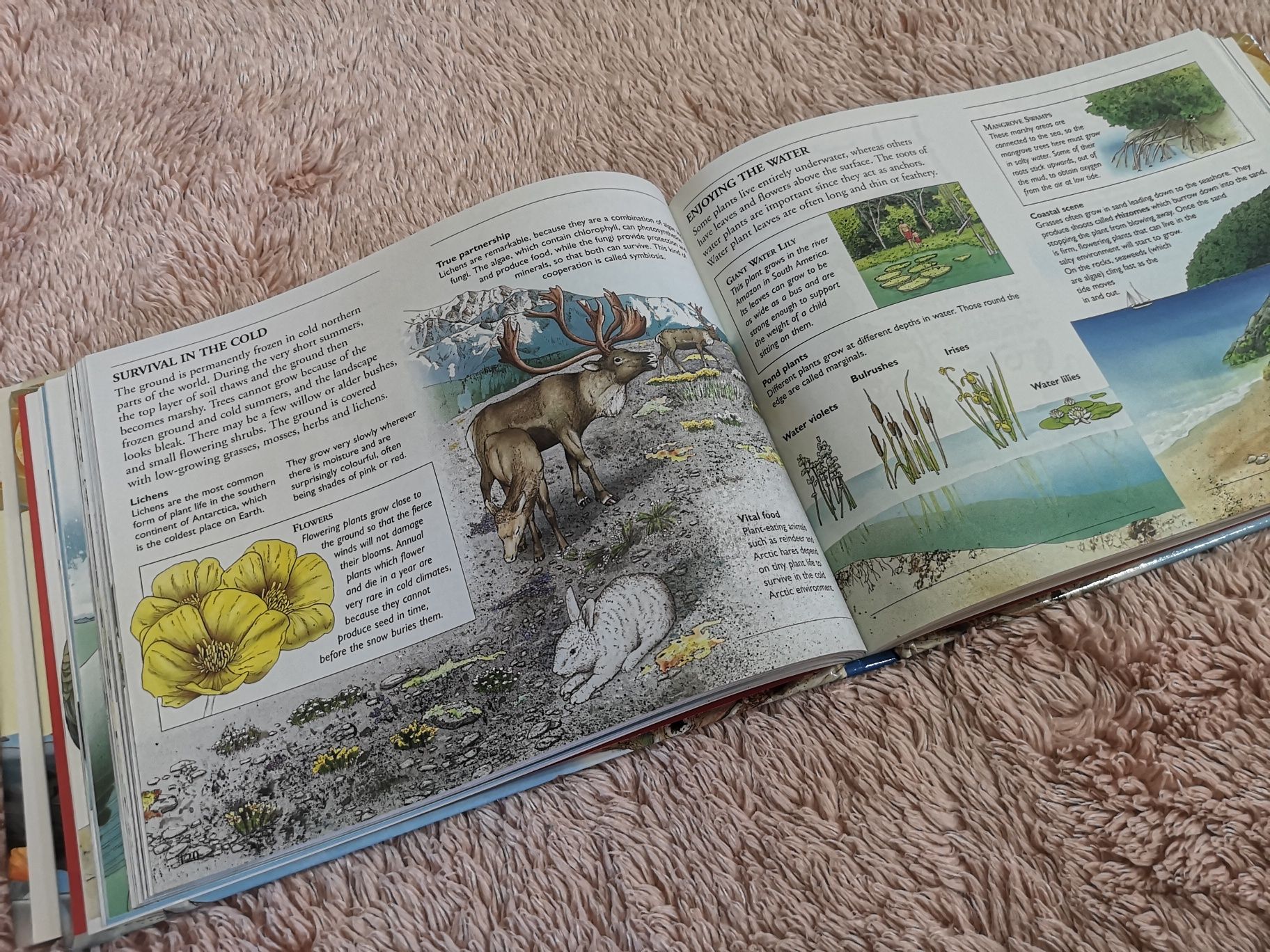 Луксозна енциклопедия на английски език, 285 страници