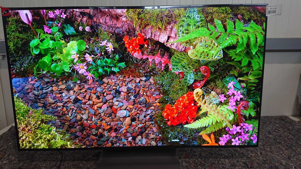 Televizor SAMSUNG OLED 48S90D, 120cm, Smart, 4K Ultra HD,100Hz,Clasa G