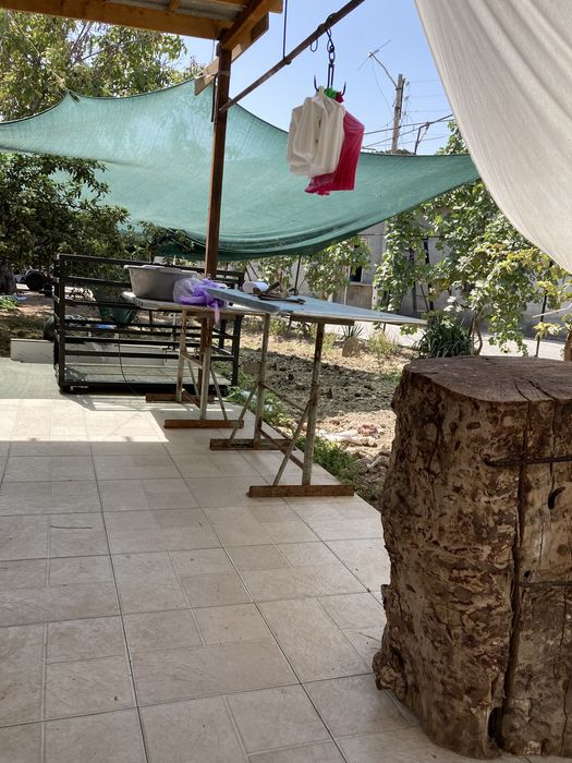 Qoy bor qassob hizmati