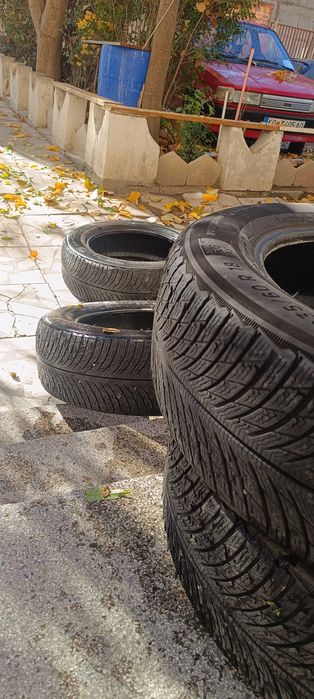 Гуми зимни мишалин