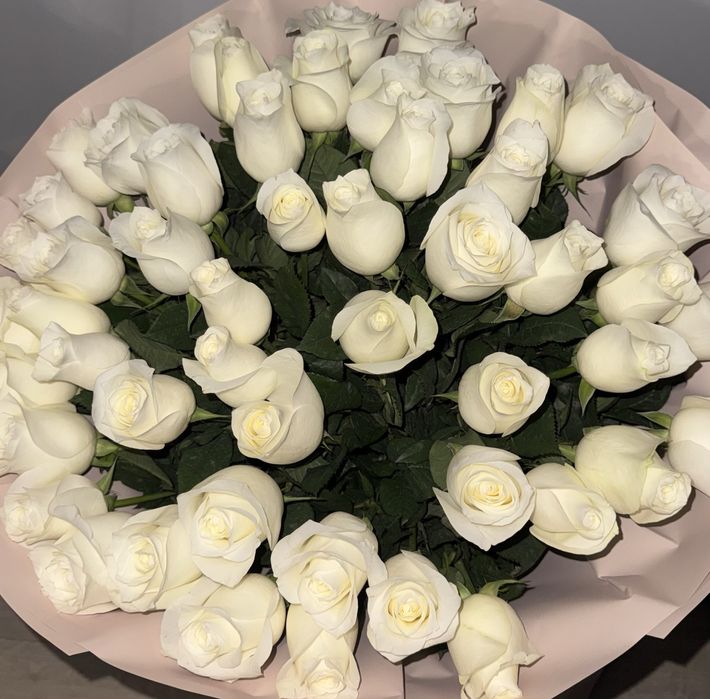 51 роза белые свежие