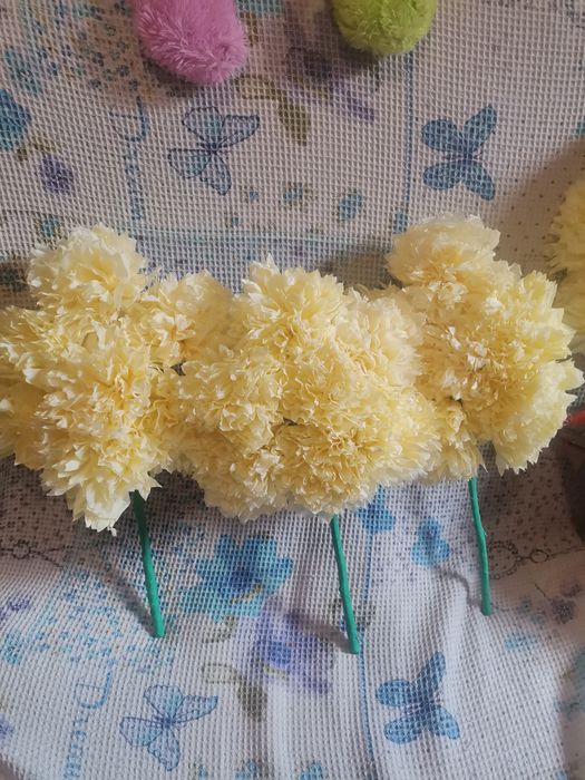 Sorcove diverse culori