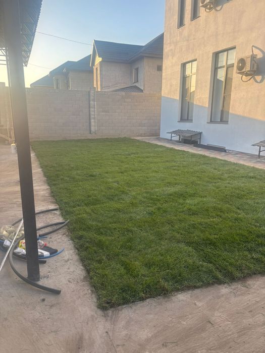 Закажите рулонный газон — наслаждайтесь зеленью уже завтра!