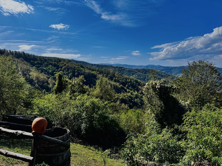 Продава се Къща в с. Черни Осъм, Област Ловеч - 62 кв.м за 1016 €/кв.м - Снимка #15