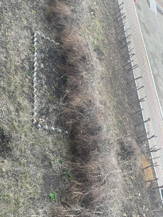 Деревья.хворост для топки бани, казана,мангала,цена догорная самовывоз