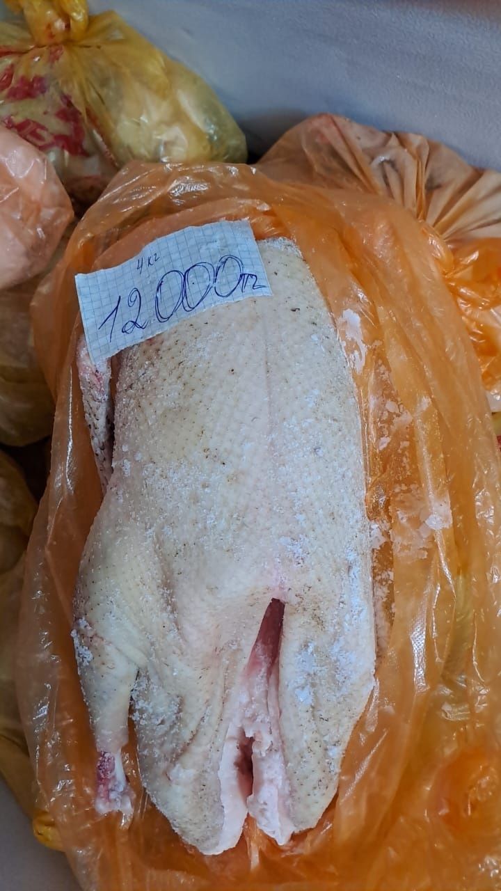 Продаётся жирные гуси.