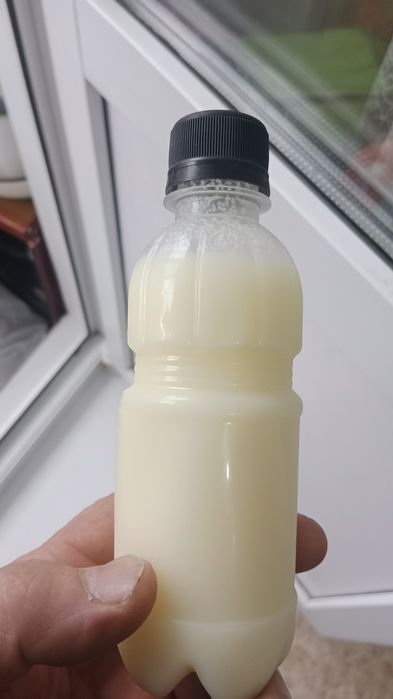 Продам  жир для лечения