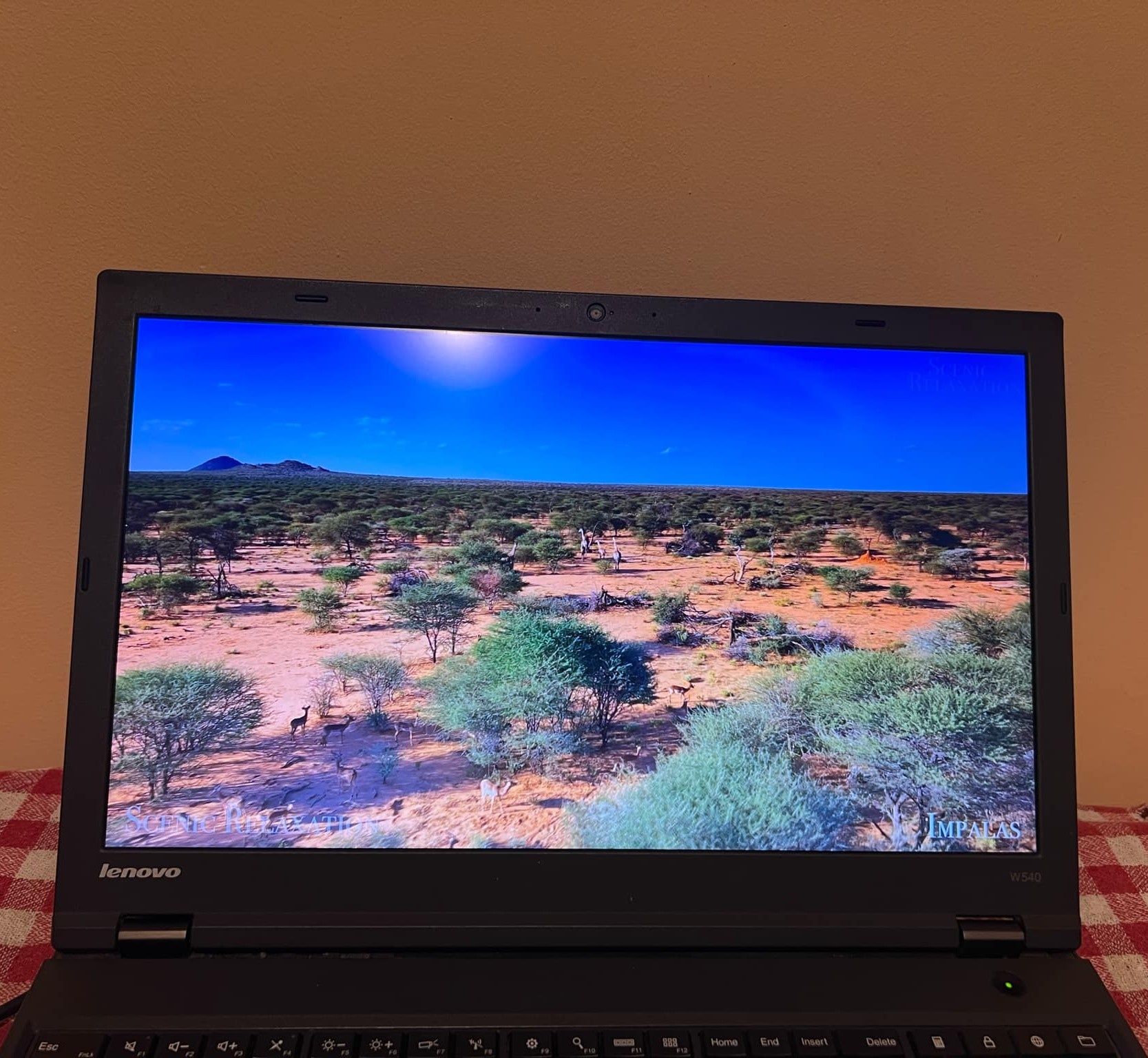 Lenovo Thinkpad W540