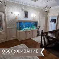 Чистка, обслуживание аквариума в Алматы
