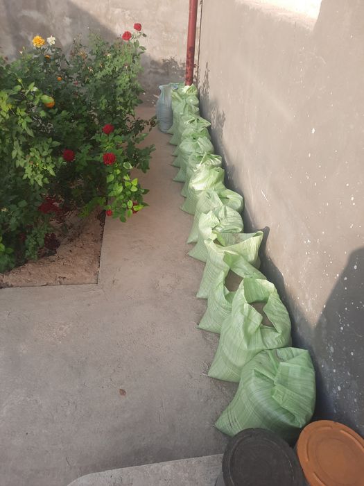 Срочно: Песок ( қум) 50 та қоп 300минг сўм.