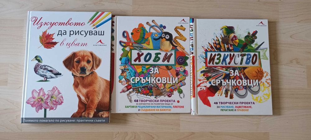 Книги за изкуство и сръчковци