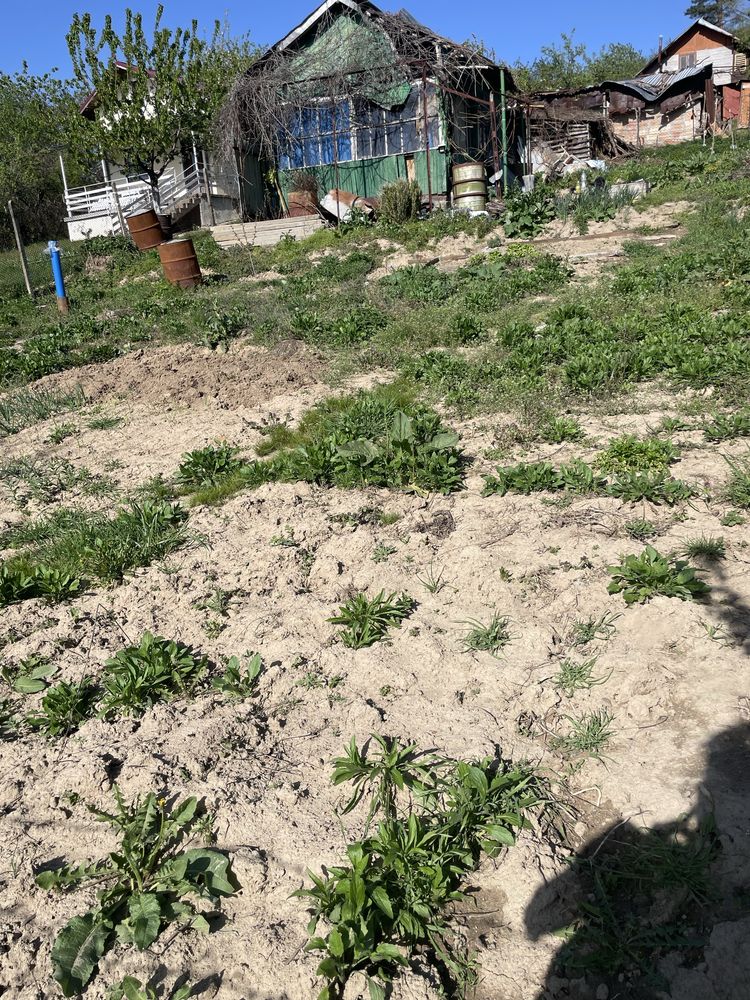 Бунгало м. Янкула гр. Габрово