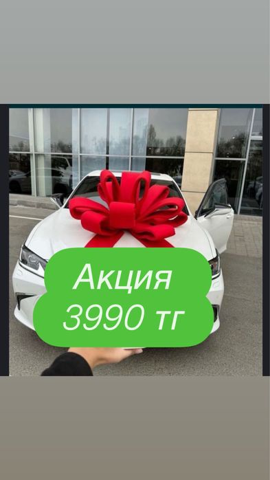 Бант и тент на авта /Подарочный бант на машину аренда/прокат5000 тг