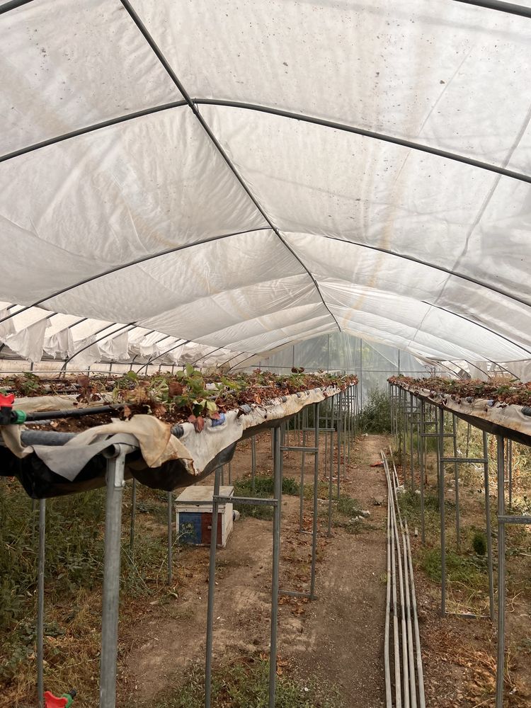 Koreyskiy teplitaa sotiladi 2 qavatli 2 sotix