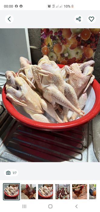 Xonaki gosht mahsulotlar