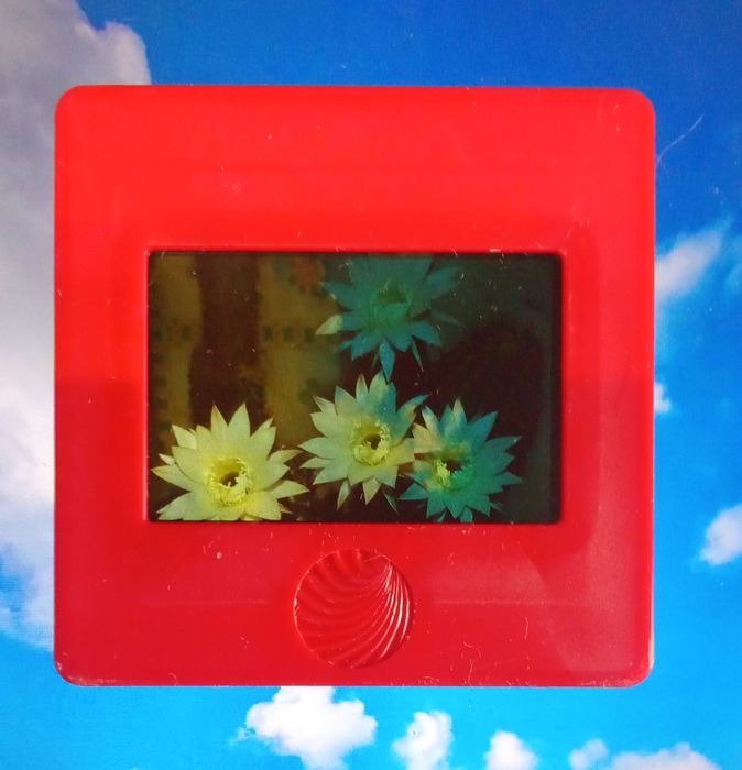 Рамки для слайдов и слайды