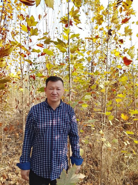 Har xil turdagi ko‘chatlar