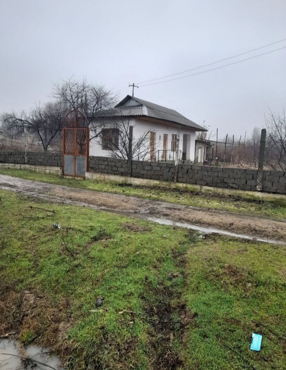 Продается дача Аккургане таш обл рядом с рекой Сырдарья 6 сот