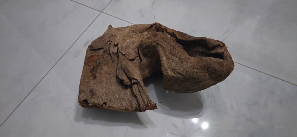 Lemn natura acvariu MANGROVE