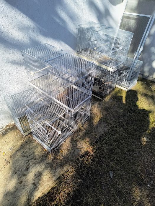 Vând engroos Colivii 503 100 de lei bucata