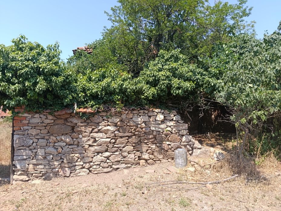 Продавам къща с двор в с.Момино , обл. Хасково