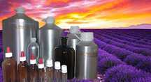 Ulei esential de Lavanda produs, distilat in Bulgaria