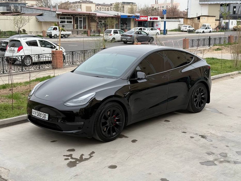 Tesla model Y performance