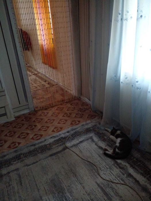 Продам дом на два хозяина