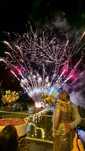 Fac de artificii - de zi si seara