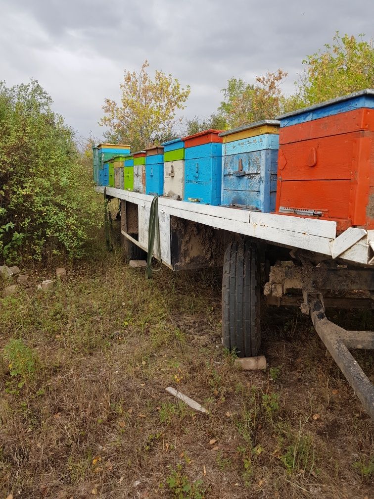 Прицеп пчеловодческий