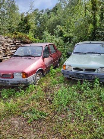 Dacia 1310 Nefunctionale