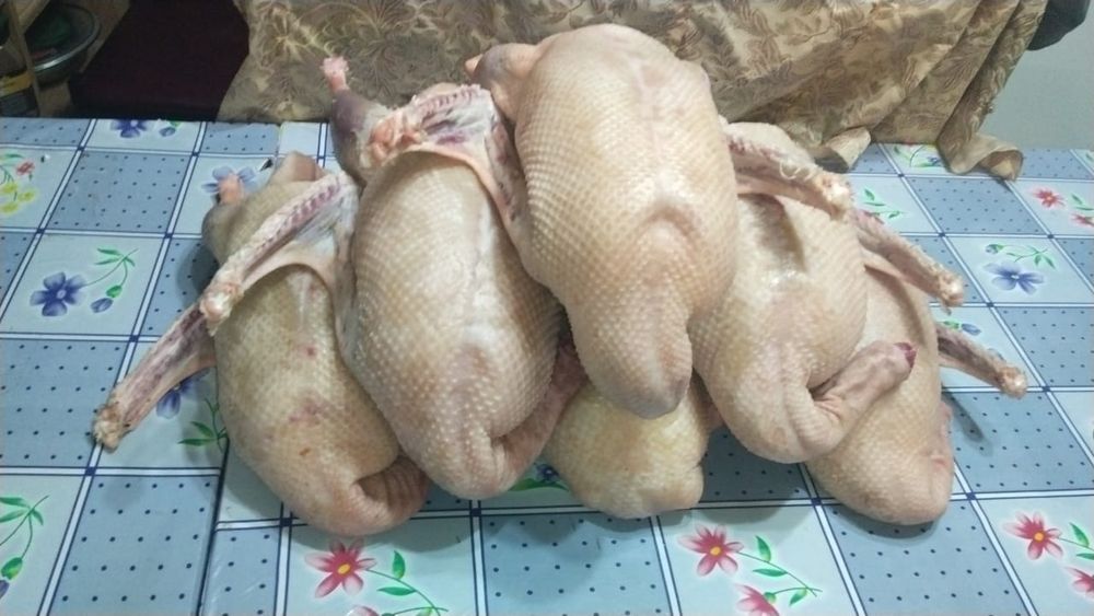 Продам мясо гуся домашнего